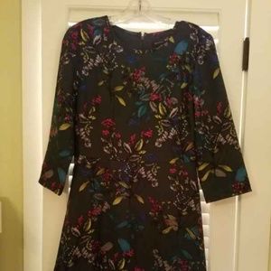Almost New Banana Republic Dress